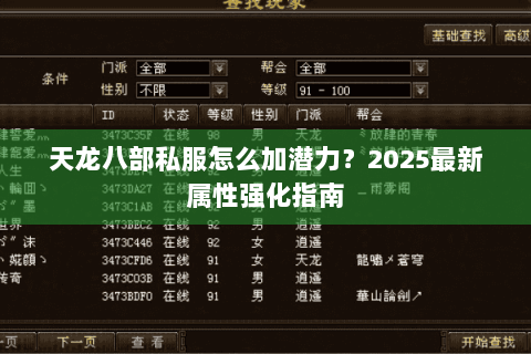 天龙八部私服怎么加潜力?2025最新属性强化指南 天龙八部私服怎么加潜力?2025最新属性强化指南