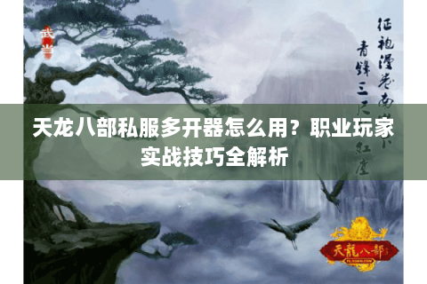 天龙八部私服多开器怎么用?职业玩家实战技巧全解析 天龙八部私服多开器怎么用?职业玩家实战技巧全解析