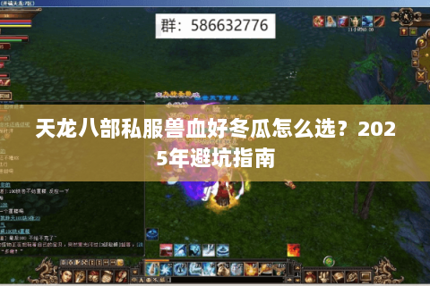 天龙八部私服兽血好冬瓜怎么选？2025年避坑指南