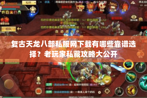 复古天龙八部私服网下载有哪些靠谱选择?老玩家私藏攻略大公开 复古天龙八部私服网下载有哪些靠谱选择?老玩家私藏攻略大公开