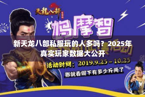 新天龙八部私服玩的人多吗?2025年真实玩家数据大公开 新天龙八部私服玩的人多吗?2025年真实玩家数据大公开