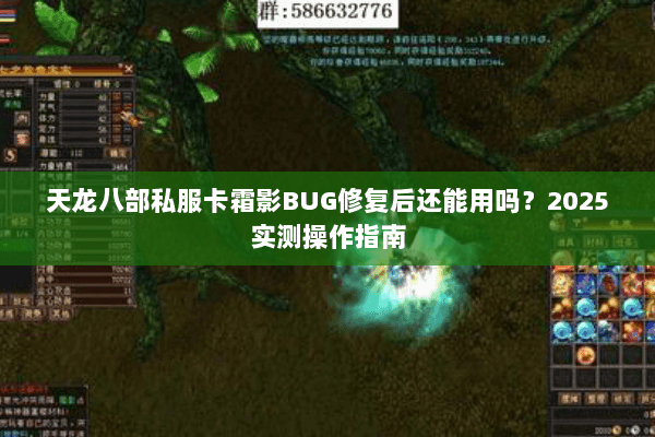 天龙八部私服卡霜影BUG修复后还能用吗?2025实测操作指南 天龙八部私服卡霜影BUG修复后还能用吗?2025实测操作指南
