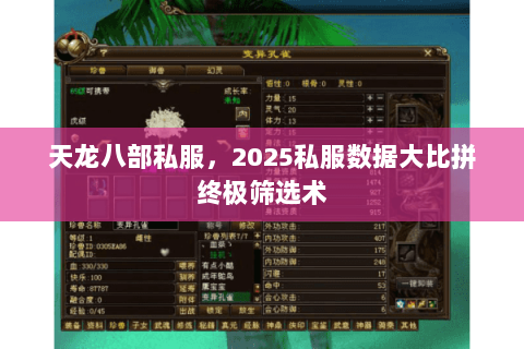 天龙八部私服,2025私服数据大比拼终极筛选术 天龙八部私服,2025私服数据大比拼终极筛选术