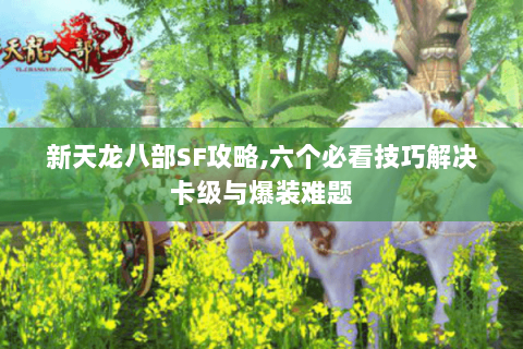 新天龙八部SF攻略,六个必看技巧解决卡级与爆装难题