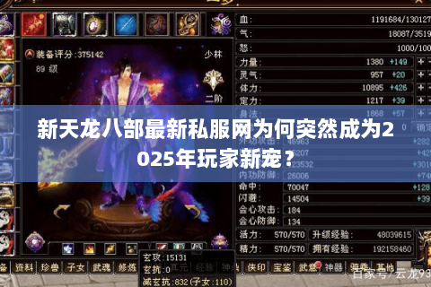 新天龙八部最新私服网为何突然成为2025年玩家新宠? 新天龙八部最新私服网为何突然成为2025年玩家新宠?