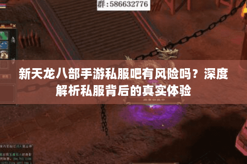 新天龙八部手游私服吧有风险吗?深度解析私服背后的真实体验 新天龙八部手游私服吧有风险吗?深度解析私服背后的真实体验