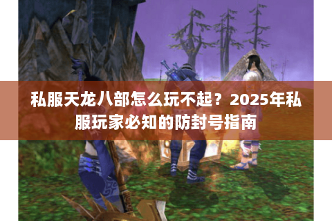 私服天龙八部怎么玩不起?2025年私服玩家必知的防封号指南 私服天龙八部怎么玩不起?2025年私服玩家必知的防封号指南
