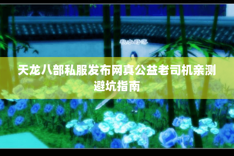 天龙八部私服发布网真公益老司机亲测避坑指南 天龙八部私服发布网真公益老司机亲测避坑指南