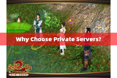 Why Choose Private Servers? Why Choose Private Servers?