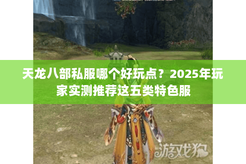 天龙八部私服哪个好玩点?2025年玩家实测推荐这五类特色服 天龙八部私服哪个好玩点?2025年玩家实测推荐这五类特色服