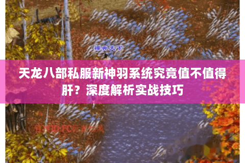 天龙八部私服新神羽系统究竟值不值得肝?深度解析实战技巧 天龙八部私服新神羽系统究竟值不值得肝?深度解析实战技巧