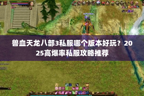 兽血天龙八部3私服哪个版本好玩？2025高爆率私服攻略推荐