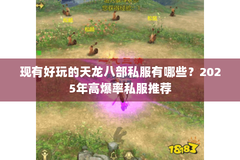 现有好玩的天龙八部私服有哪些?2025年高爆率私服推荐 现有好玩的天龙八部私服有哪些?2025年高爆率私服推荐