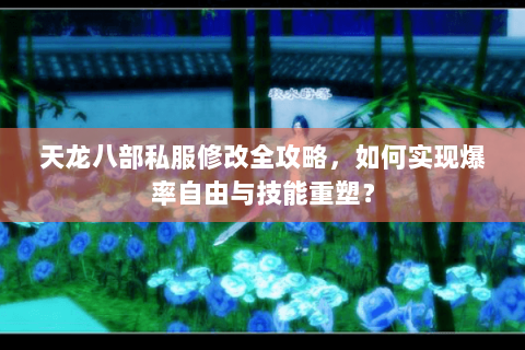天龙八部私服修改全攻略,如何实现爆率自由与技能重塑? 天龙八部私服修改全攻略,如何实现爆率自由与技能重塑?