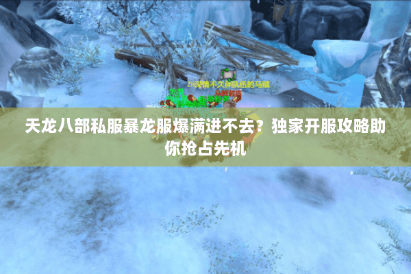 天龙八部私服暴龙服爆满进不去?独家开服攻略助你抢占先机 天龙八部私服暴龙服爆满进不去?独家开服攻略助你抢占先机