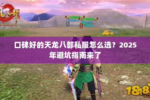 口碑好的天龙八部私服怎么选？2025年避坑指南来了