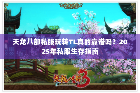 天龙八部私服玩转TL真的靠谱吗?2025年私服生存指南 天龙八部私服玩转TL真的靠谱吗?2025年私服生存指南