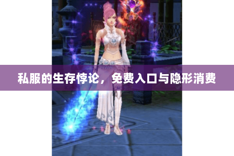 私服的生存悖论,免费入口与隐形消费 私服的生存悖论,免费入口与隐形消费