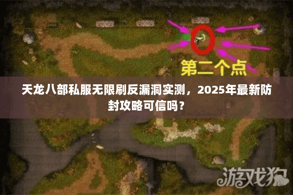 天龙八部私服无限刷反漏洞实测，2025年最新防封攻略可信吗？