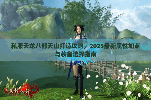 私服天龙八部天山打造攻略,2025最新属性加点与装备选择指南 私服天龙八部天山打造攻略,2025最新属性加点与装备选择指南
