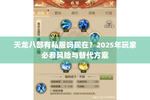 天龙八部有私服吗现在？2025年玩家必看风险与替代方案