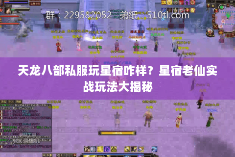 天龙八部私服玩星宿咋样？星宿老仙实战玩法大揭秘
