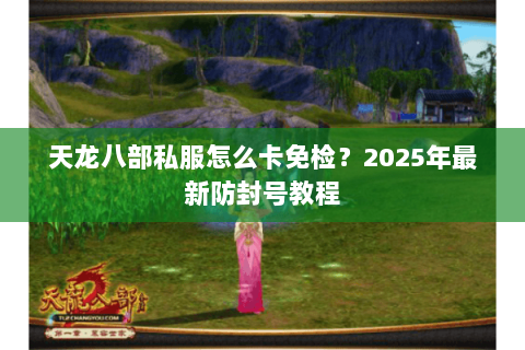 天龙八部私服怎么卡免检?2025年最新防封号教程 天龙八部私服怎么卡免检?2025年最新防封号教程