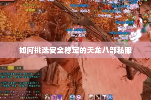 如何挑选安全稳定的天龙八部私服 如何挑选安全稳定的天龙八部私服