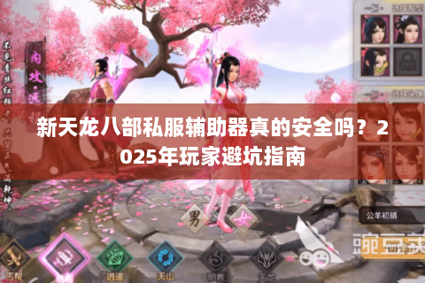 新天龙八部私服辅助器真的安全吗?2025年玩家避坑指南 新天龙八部私服辅助器真的安全吗?2025年玩家避坑指南