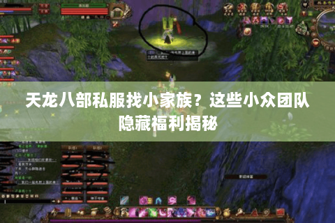 天龙八部私服找小家族?这些小众团队隐藏福利揭秘 天龙八部私服找小家族?这些小众团队隐藏福利揭秘