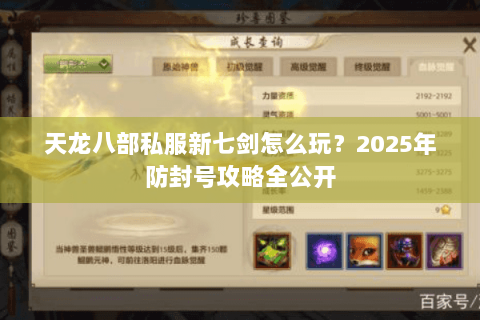 天龙八部私服新七剑怎么玩?2025年防封号攻略全公开 天龙八部私服新七剑怎么玩?2025年防封号攻略全公开