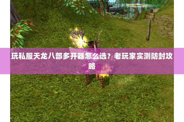 玩私服天龙八部多开器怎么选？老玩家实测防封攻略