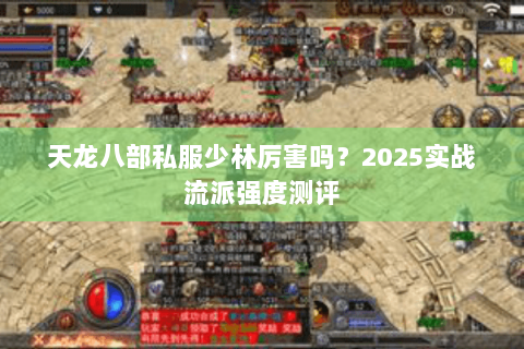 天龙八部私服少林厉害吗?2025实战流派强度测评 天龙八部私服少林厉害吗?2025实战流派强度测评