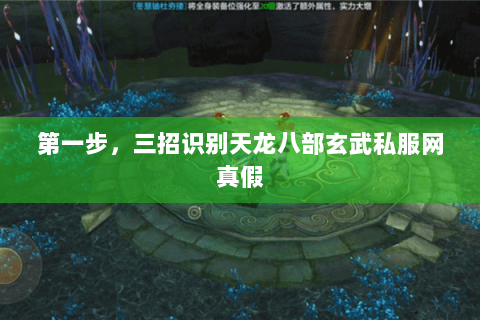 第一步,三招识别天龙八部玄武私服网真假 第一步,三招识别天龙八部玄武私服网真假