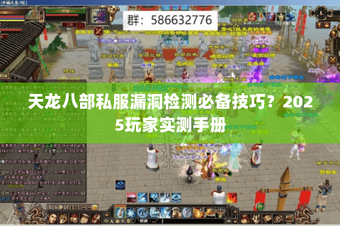 天龙八部私服漏洞检测必备技巧?2025玩家实测手册 天龙八部私服漏洞检测必备技巧?2025玩家实测手册