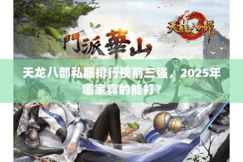 天龙八部私服排行榜前三强,2025年哪家真的能打? 天龙八部私服排行榜前三强,2025年哪家真的能打?