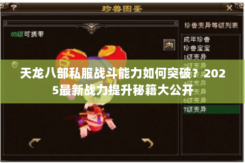 天龙八部私服战斗能力如何突破？2025最新战力提升秘籍大公开