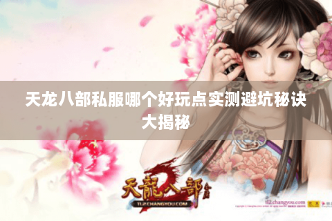 天龙八部私服哪个好玩点实测避坑秘诀大揭秘 天龙八部私服哪个好玩点实测避坑秘诀大揭秘