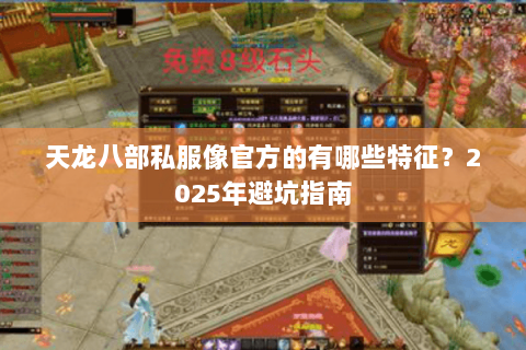 天龙八部私服像官方的有哪些特征?2025年避坑指南 天龙八部私服像官方的有哪些特征?2025年避坑指南