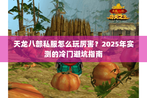 天龙八部私服怎么玩厉害?2025年实测的冷门避坑指南 天龙八部私服怎么玩厉害?2025年实测的冷门避坑指南