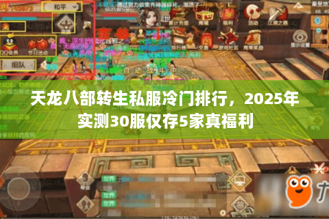 天龙八部转生私服冷门排行,2025年实测30服仅存5家真福利 天龙八部转生私服冷门排行,2025年实测30服仅存5家真福利