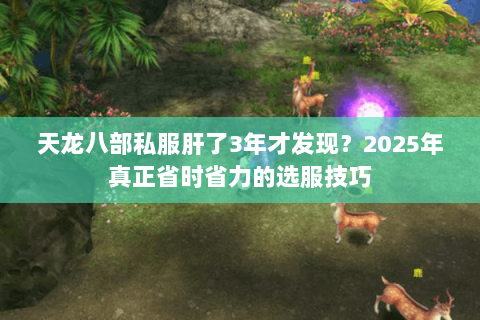 天龙八部私服肝了3年才发现?2025年真正省时省力的选服技巧 天龙八部私服肝了3年才发现?2025年真正省时省力的选服技巧