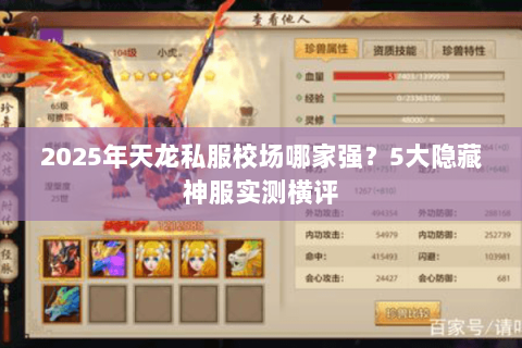 2025年天龙私服校场哪家强?5大隐藏神服实测横评 2025年天龙私服校场哪家强?5大隐藏神服实测横评