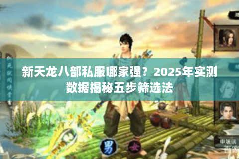 新天龙八部私服哪家强?2025年实测数据揭秘五步筛选法 新天龙八部私服哪家强?2025年实测数据揭秘五步筛选法