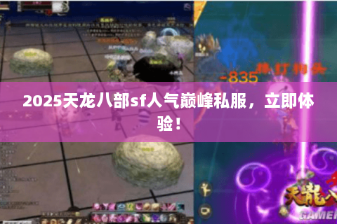 2025天龙八部sf人气巅峰私服,立即体验! 2025天龙八部sf人气巅峰私服,立即体验!