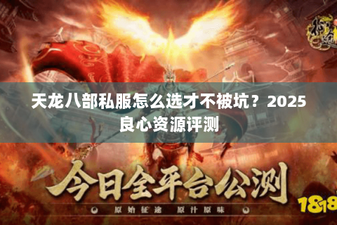 天龙八部私服怎么选才不被坑？2025良心资源评测