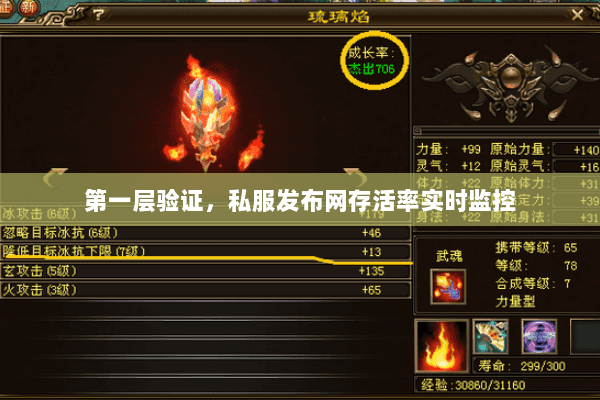 第一层验证,私服发布网存活率实时监控 第一层验证,私服发布网存活率实时监控