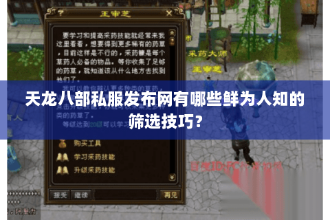 天龙八部私服发布网有哪些鲜为人知的筛选技巧？