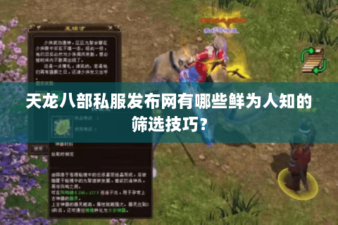 天龙八部私服发布网有哪些鲜为人知的筛选技巧？