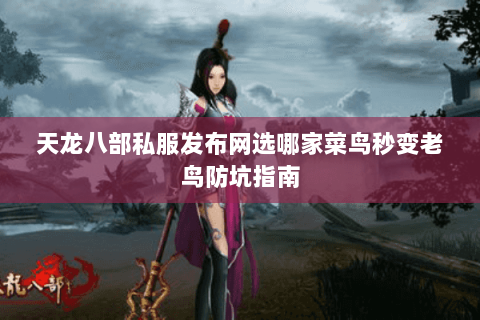 天龙八部私服发布网选哪家菜鸟秒变老鸟防坑指南 天龙八部私服发布网选哪家菜鸟秒变老鸟防坑指南